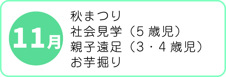 11月